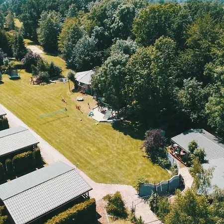 Kolo Zolwia * Gąski