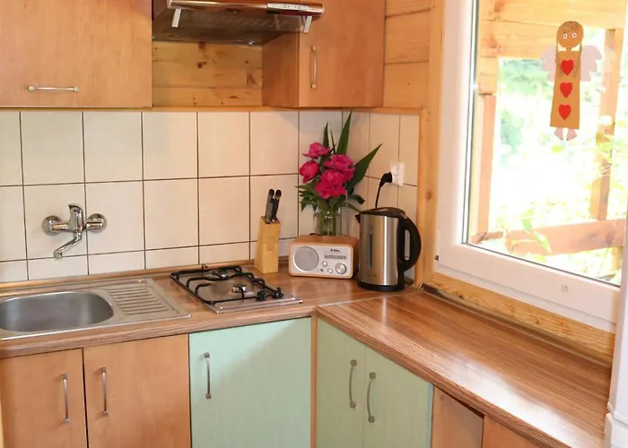 Kolo Zolwia Gaski (Koszalin)